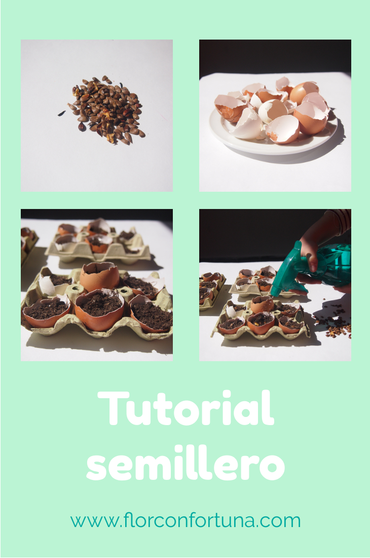 Tutorial semillero