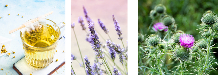 Fotos de Monika Grabkowska de Janine Joles y de Benjamin Kaufmann en unsplash